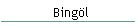 Bingl